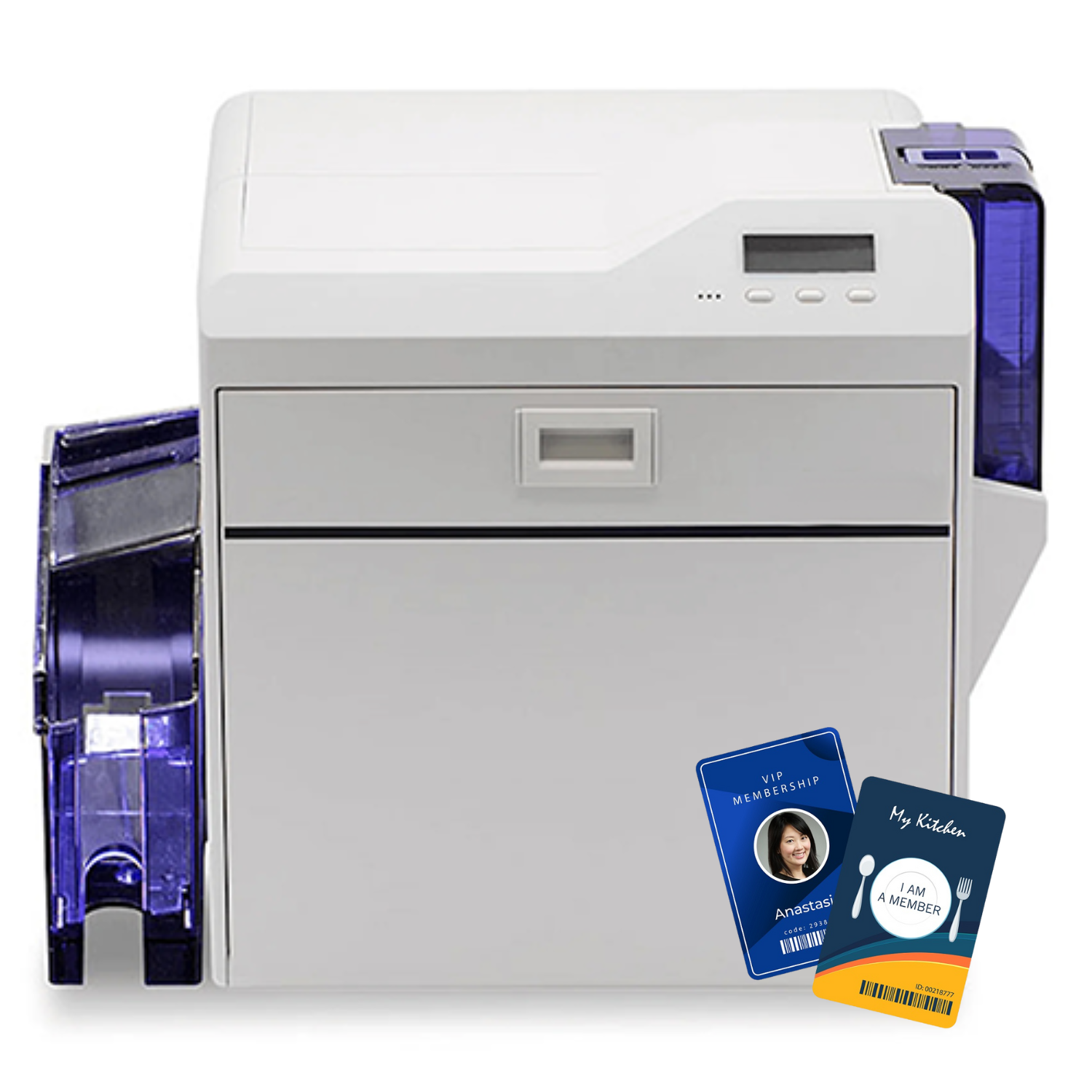 P7500-Retransfer Card Printer+Cards | PT All ID Indonesia Front view of a compact card printer feeding purple card stock with two sample loyalty/membership cards fanned nearby